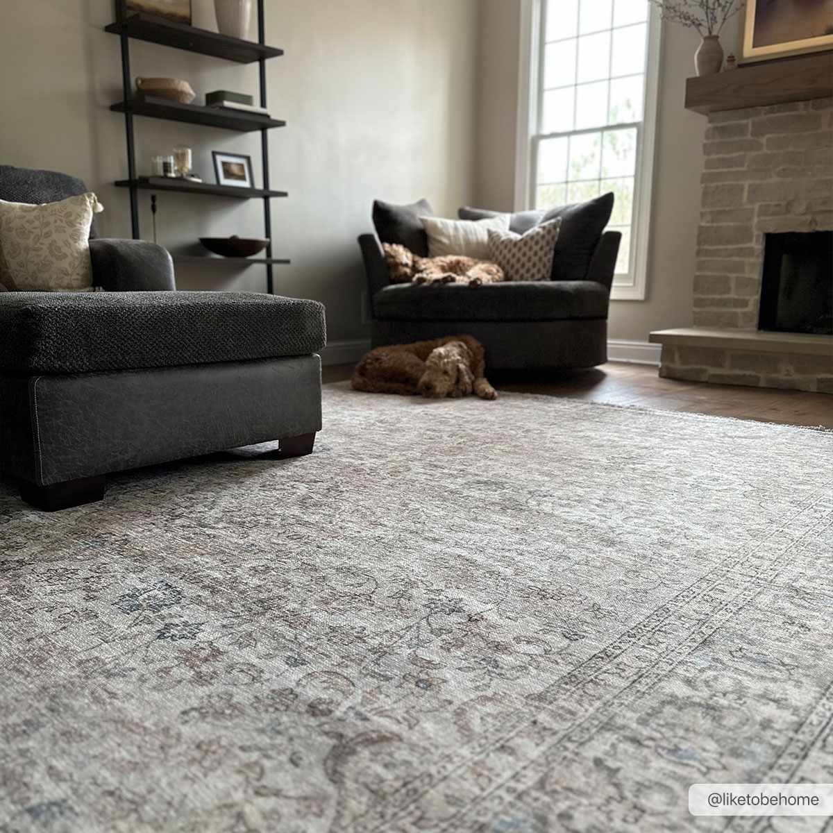 Cream Holi Washable Area Rug