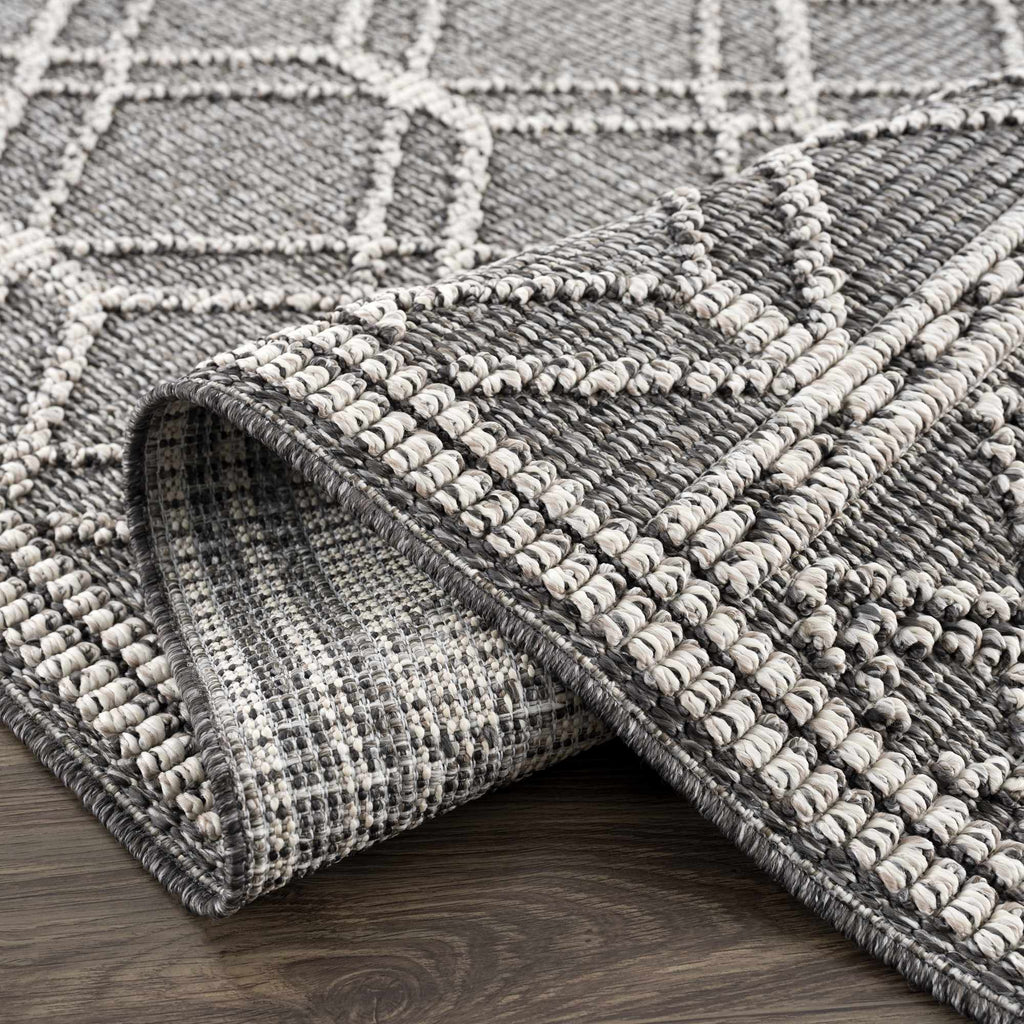 Diah Black & Bone Outdoor Area Rug