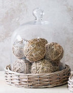 Willow Base Glass Cloche