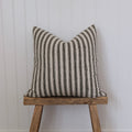 Myer Stripe Pillow Cover