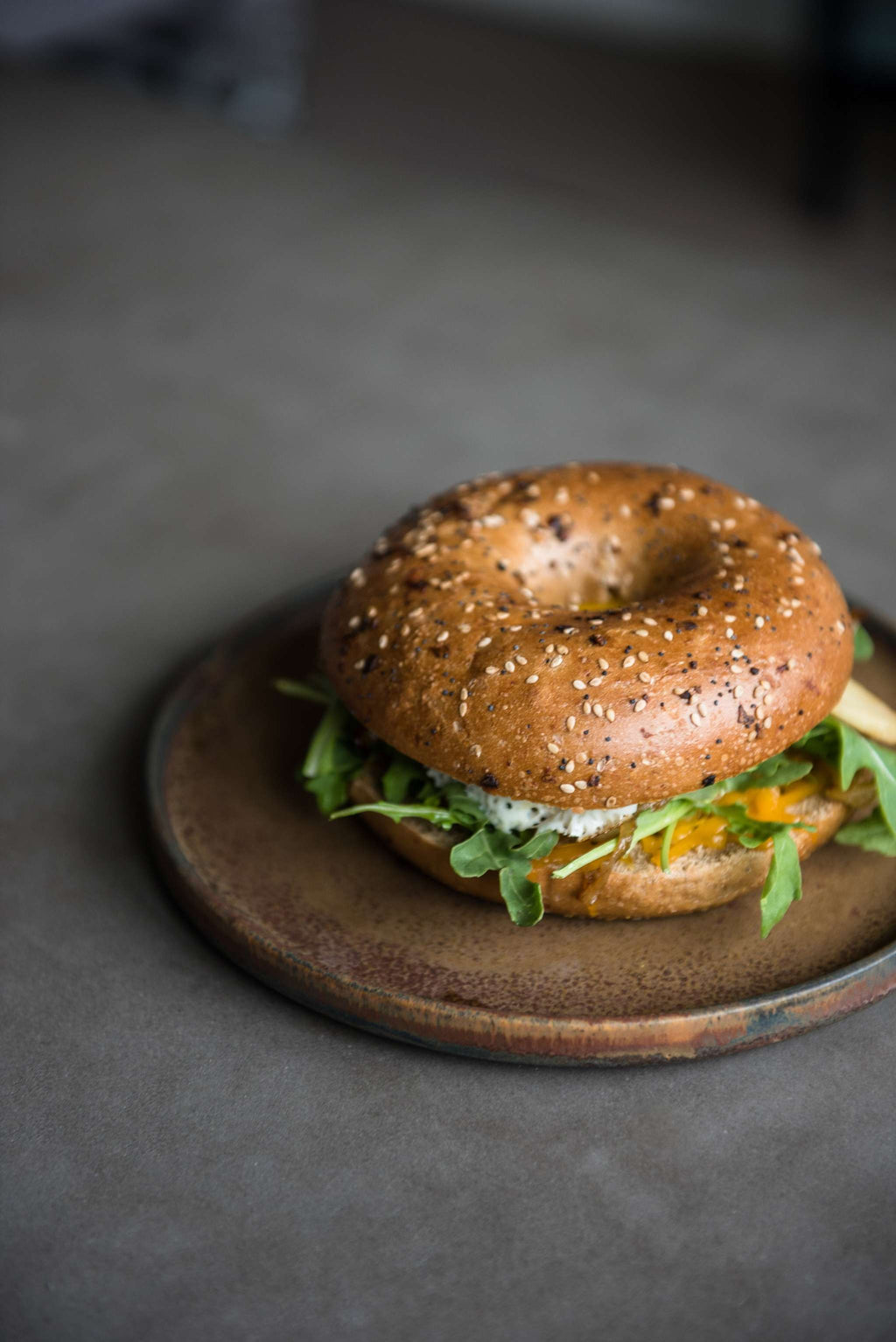 Stoneware Rust Dinner Plates
