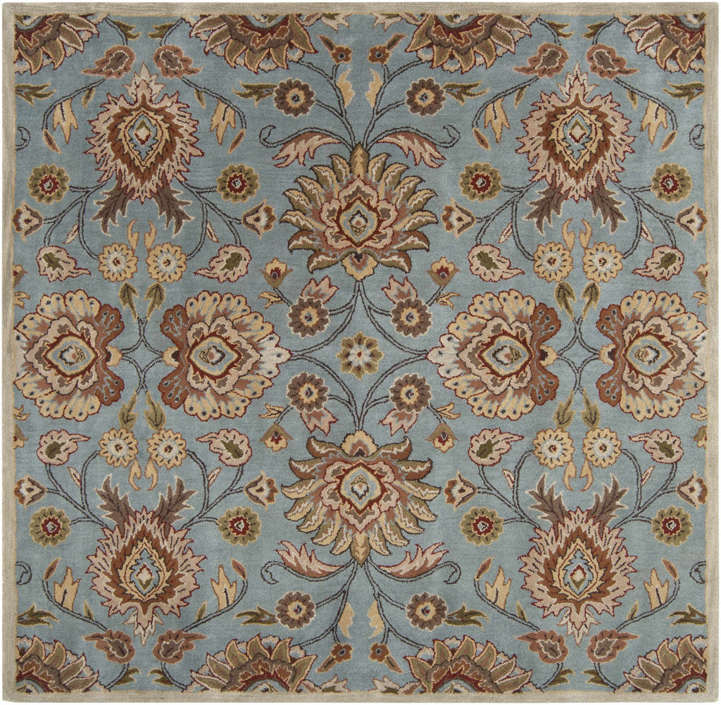 Conesus Hand Tufted Gray Area Rug